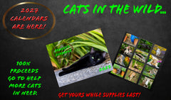 Froggy's Furballs 2027 WALL calendar