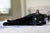 I'm Onyx! The sleek handsome panther!