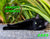 Froggy's Furballs 2027 WALL calendar
