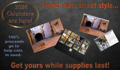 Froggy's Furballs 2026 DESK calendar
