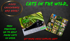 Froggy's Furballs 2027 WALL calendar